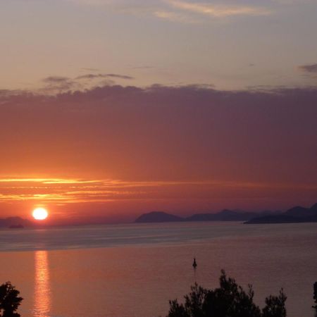 Apartments Red Coral Cavtat Buitenkant foto